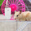 12Pcs Little Pet Molarsten Volcanisk Hamster (Ljusgrå) 5