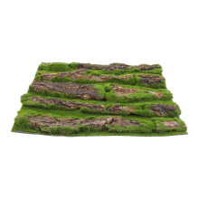 Bark Bakgrund För Och Reptilbur