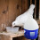 Pigeon Feeder 2L Water Dispenser, Spill-Proof Removable Hydration Waterer, Brooder Setup Compatible 5
