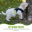 4St Service Dog Plåster Hundharness Med Reflexföring 10