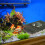 1 St Bakgrundsplatta 3D Bark Reptilbur 7
