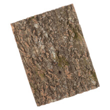 Reptil Terrarium Bakgrund Reptilbark Reptilkork Reptiltillbehör