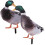 2 eend model ornamenten decoratieve figuur 4