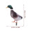 2 eend model ornamenten decoratieve figuur 3