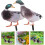 2 eend model ornamenten decoratieve figuur 9