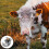 Cow Automatic Waterer Accessory Kapacitet Djurvattenmätare Lantbruk 10