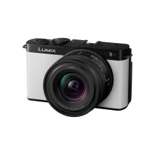 Panasonic Lumix DC-S9 Kit with S 20-60mm f/3.5-5.6 Lens (Silver) (DC-S9KS)