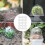15Pcs Plantningsprotektor Transparent Trädgårdsskyddsdome 9