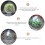 15Pcs Plantningsprotektor Transparent Trädgårdsskyddsdome 11