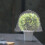 15Pcs Plantningsprotektor Transparent Trädgårdsskyddsdome 7