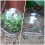 15Pcs Plantningsprotektor Transparent Trädgårdsskyddsdome 10