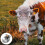 Cow Automatic Waterer Accessory Kapacitet Djurvattenmatare För Bönder 10