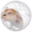 Hamster Clear Ball Rullboll För Träning Och 8