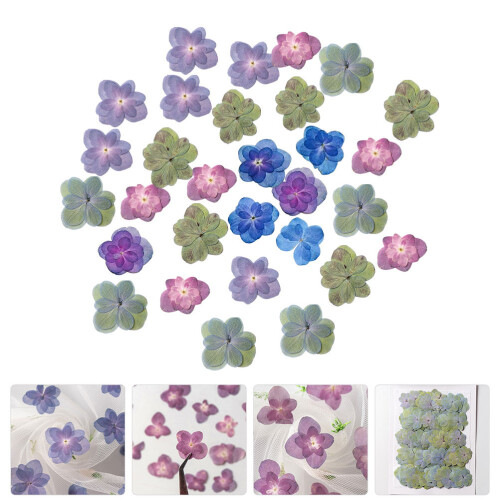 30Pièces Fleurs Sèches Embossées Pour Scrapbooking DIY 2