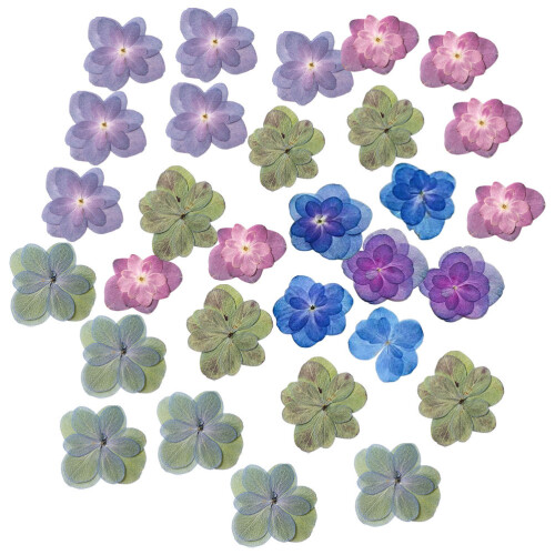 30Pièces Fleurs Sèches Embossées Pour Scrapbooking DIY 1