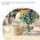 About 190 G Transparent Glasbloss Ljusstake Smyckesmaterial 10