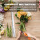 1 Rulle Transparent Cellofan För Presentpapper Blomsterbuketter 10