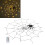 Waterproof LED Spider Web Lights with Remote Control, Warm White 13