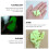 20Pcs Fluorescerande Tältrep Spännlås Triangulärt 10