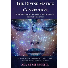 The Divine Matrix Connection. Total Integration with the Quantum Field