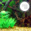 10St Plastic Connector Vis Tank Water 6