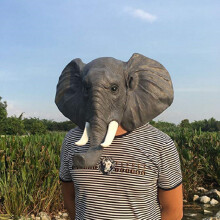Máscara de látex de elefante para Halloween - Gris, talla única