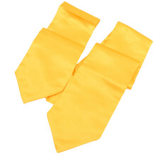 2St Graduation Stole Baccalaureate Kåpa Tassel Unisex