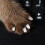 2 Förpackningar 40 Bit Nagelöverdrag För Katt Skrapskydd 3
