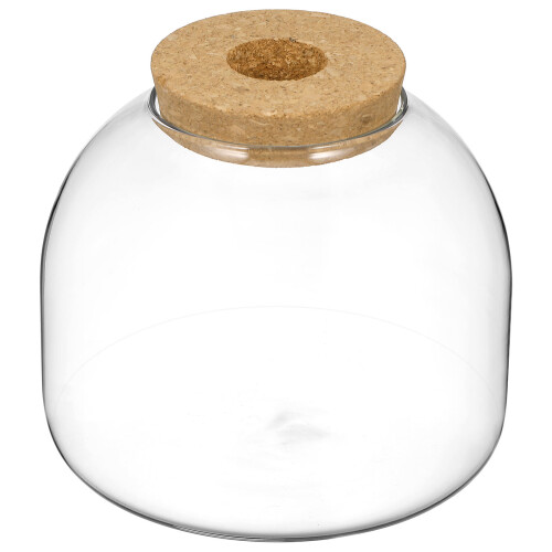 Glass Terrariumburk Med Träpropp För Vattenodlingsväxter