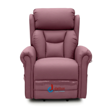 Dallux Nevis Healthcare Rise and Recline Chair