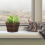 1St Vintage Plantenbak Multifunctionele Succulente 3