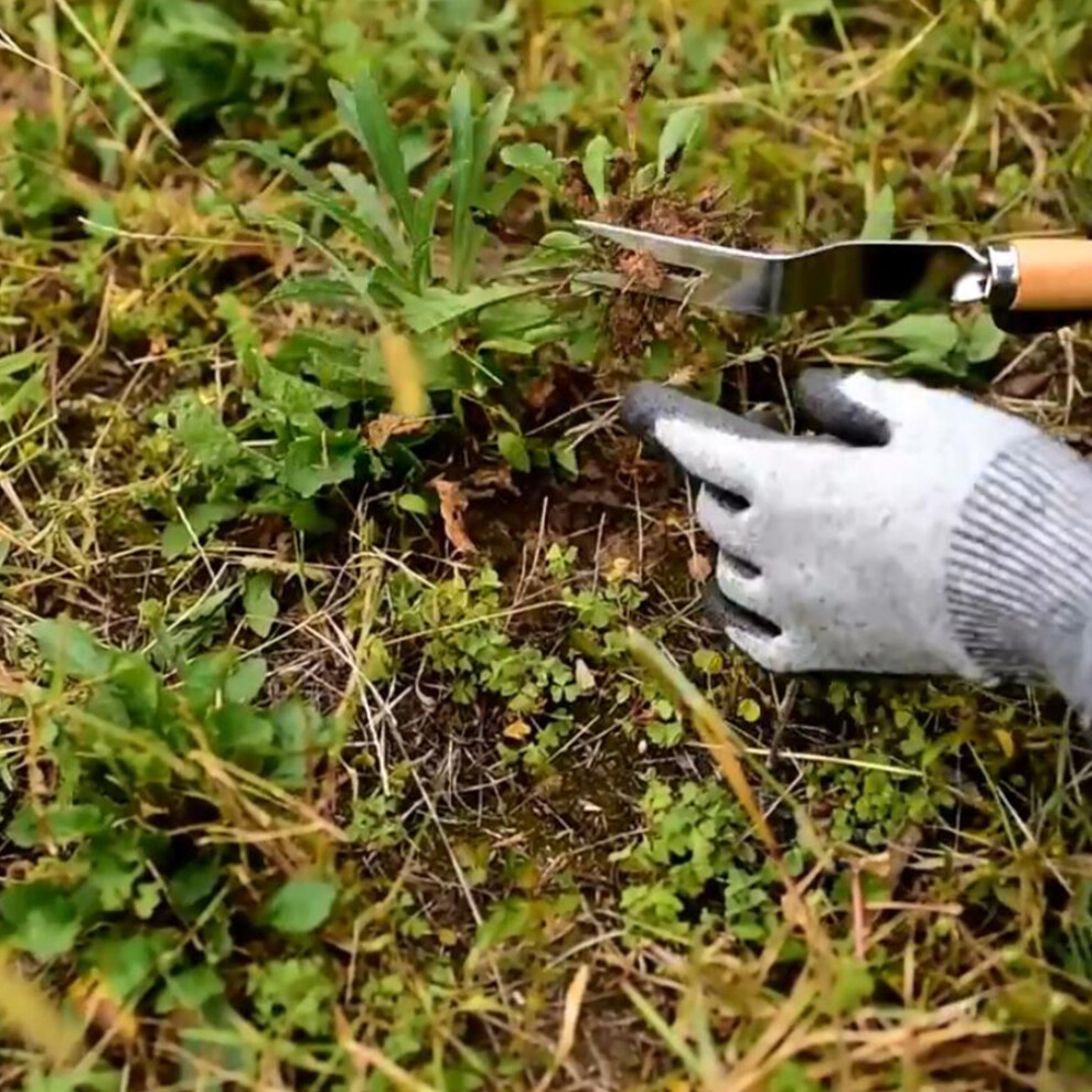 Garden Weed Puller Stainless Steel Hand Fork with Long Tines & Comfortable Grip-image-OPC-PMJ6SGB-NEW