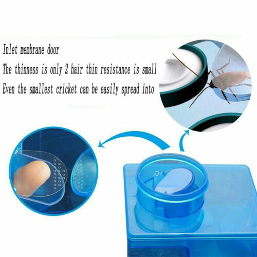 Effective Physical Trap for Cockroaches with Easy Disassembly 2