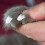 2 Förpackningar/40 Husdjurs Nagelöverdrag För Katt 4