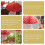 3Pcs Mushroom Shape 3D Hanging Lanterns For Scene Layout Decor 11