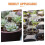 10Pcs Transparent Plastväxtskydd Dome För Trädgårdsväxter Skyddsdome 6