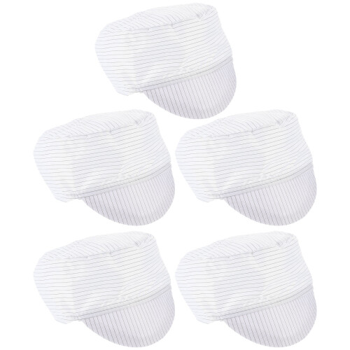 5Pcs Anti-Statisk Andningsbar Workshopsmössa För Cleanroom (Vit)
