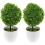 2St Konstgjorda Växter Boll, Imitationsväxt, Bonsai, 8