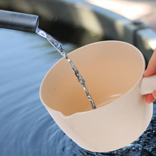 Small Ladle Plastic Assorted Color 2pcs 10.4x6.1x4.1in 2