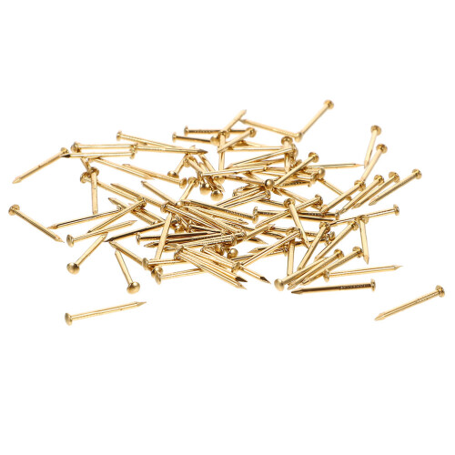 200Pcs Möbel FixeringsSpikar Metall Diy Projekt