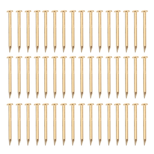 200Pcs Möbel FixeringsSpikar Metall Diy Projekt 2