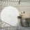 Hamster Förrådshjul För Springhjul Chinchilla Gerbils 11