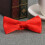 Pre-Bundet Satäng Formal Frackslips Justerbar Längd (Ljusröd) 5