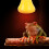 Continuous Heating Reptile Infrared Ceramic Lamp 220V-240V Compact Design 13