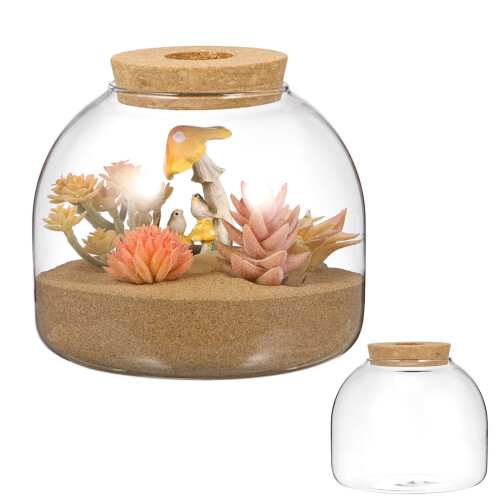 Glass Terrariumburk Med Träpropp För Vattenodlingsväxter 2