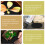 20Pcs Trädgårds Tyg Ring I -Vävda Fiberr 8