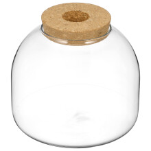 Glass Terrariumburk Med Träpropp För Vattenodlade Föremål