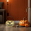 Halloween Pompoen Snoeppot Capaciteit Feest Decoratie 6