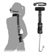 Sex Bondage Collar with Anal Hook & Ball Gag, BDSM Bondage Restraints Set, Anal Hook With Traction Chain, 2 Pieces