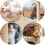 1 Stycke 25 M Rep För Diy Kattskrapa Och Smycken 9